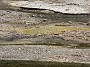 6.32- Des bulles souterraines s'echappent dans le cours d'eau